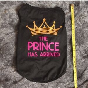 *4 for $28* *Like New* Pet t-shirt for a Prince